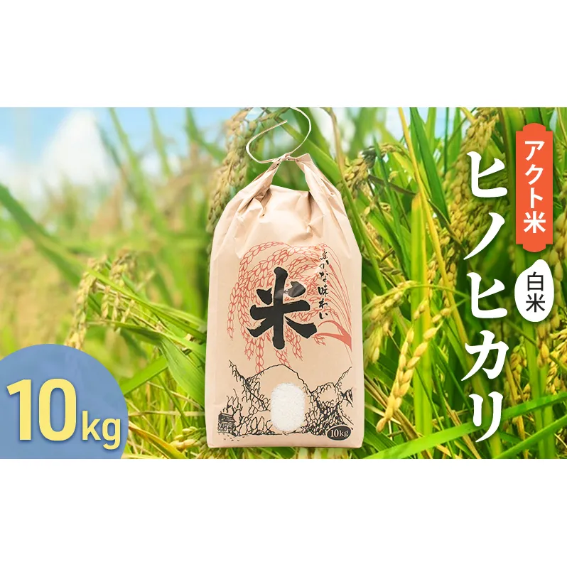 お米 令和5年産 アクト米 ヒノヒカリ 白米 10kg