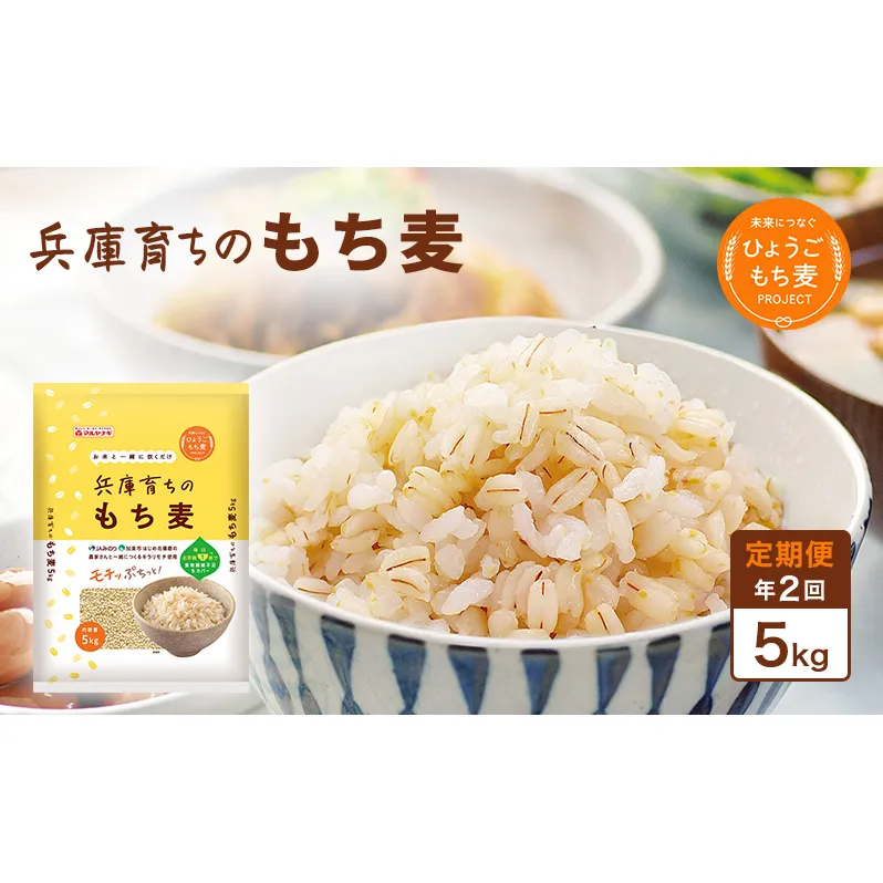 【定期便 年2回発送】兵庫育ちのもち麦5kg　[食物繊維 もちむぎ キラリモチ 国産 健康 加東市]  