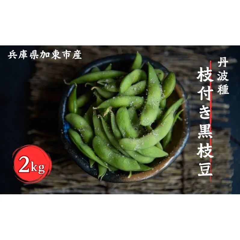 令和7年産 加東市産 丹波種 枝付き 黒枝豆 2kg [ 野菜 えだまめ 枝豆 ビール おつまみ 数量限定 ] 
