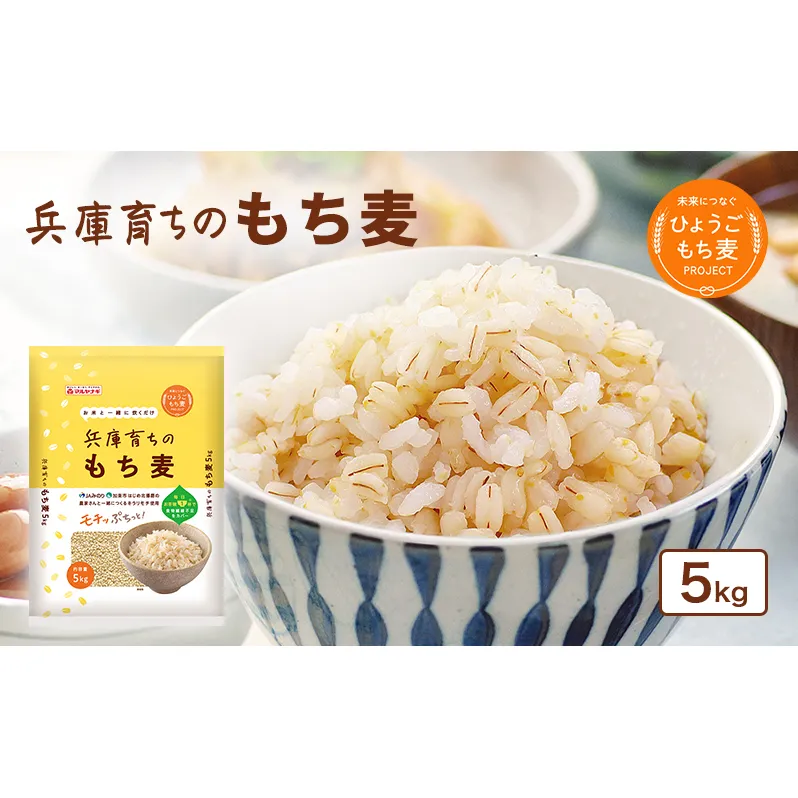 兵庫育ちの もち麦 5kg[国産 キラリモチ 食物繊維 ] 雑穀 