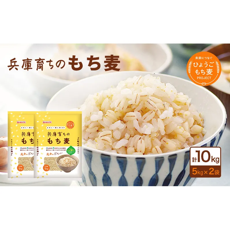 兵庫育ちの もち麦 10kg [国産 キラリモチ 食物繊維 ] 雑穀 モチ麦 