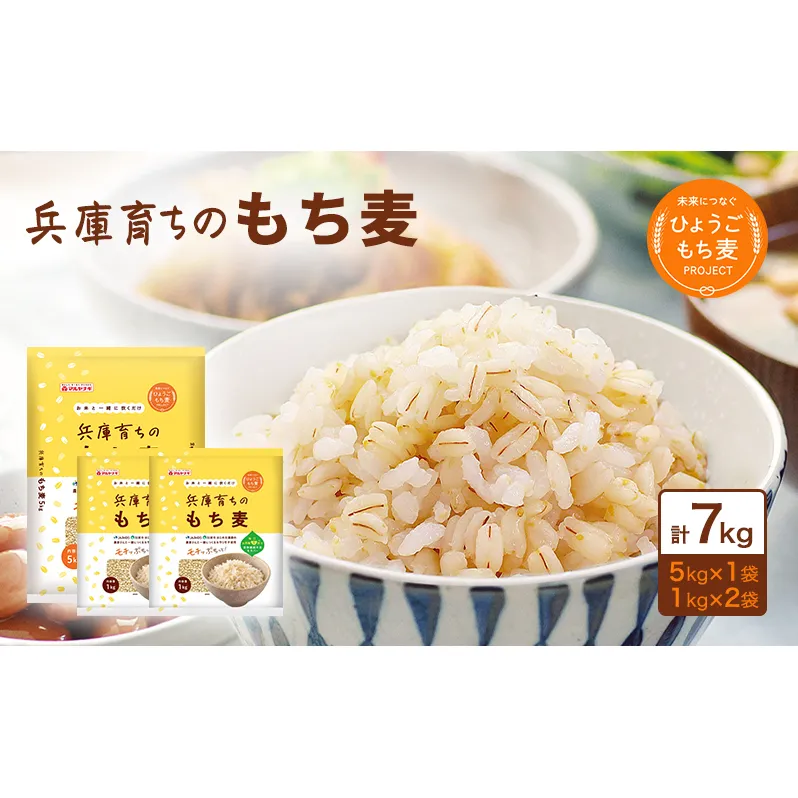 兵庫育ちの もち麦 7kg [国産 キラリモチ 食物繊維 ] 雑穀 モチ麦 