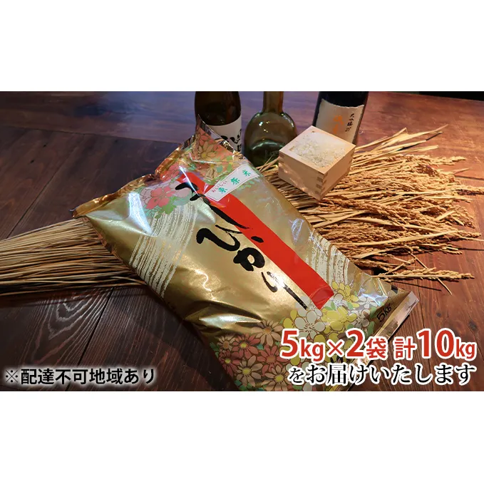 お米 令和5年産 特別栽培米 日本酒に合う コシヒカリ 白米 10kg (5kg×2)[ 米 こめ コメ 精米 ] 