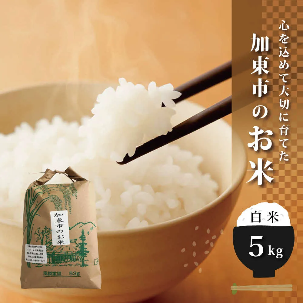 栽培期間中化学農薬・化学肥料不使用のお米 5kg [米 こめ コメ 精米 ライス ご飯 おにぎり お弁当 和食 主食 国産 炭水化物 直送 産地直送 兵庫県産 日本産 ]
