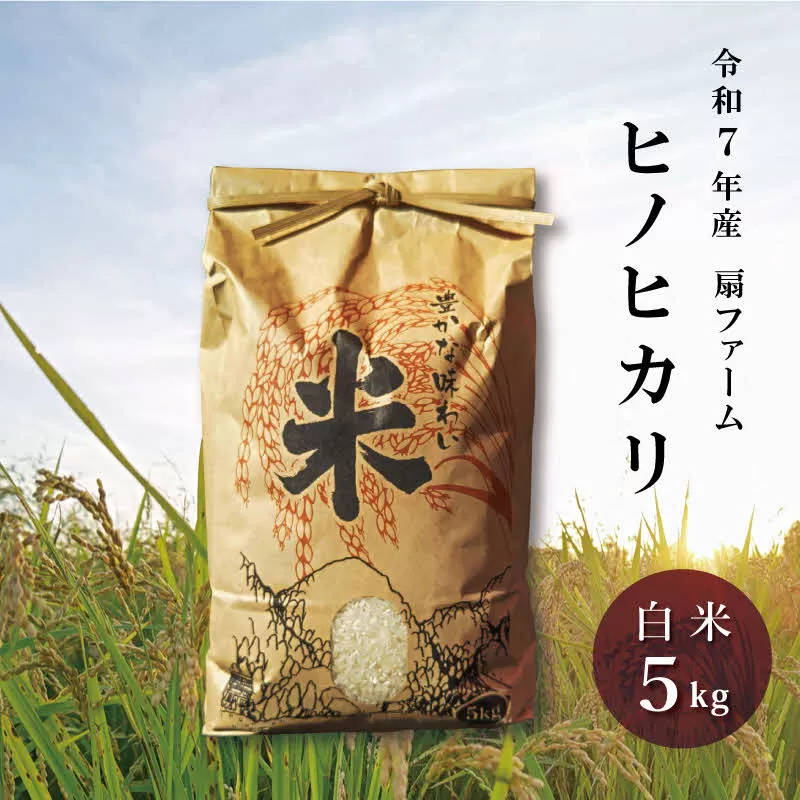 お米 令和7年産 ヒノヒカリ 白米5kg [ こめ 米 コメ 扇ファーム 加東市産 兵庫県加東市 加東市]