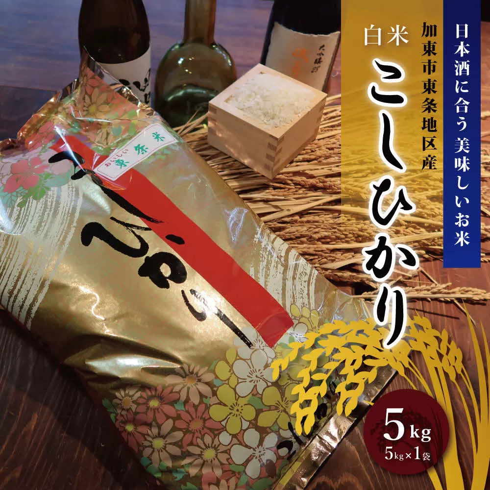 お米 令和7年産日本酒に合う コシヒカリ 白米 5kg [ 米 こめ コメ 精米 ]