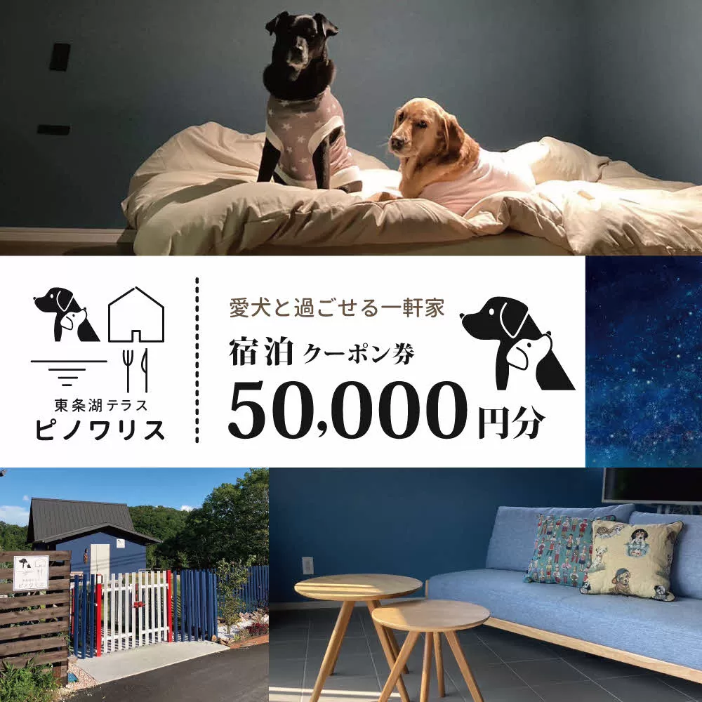 東条湖テラス ピノワリス 宿泊クーポン券 5万円分 愛犬と過ごせる一軒家　宿泊 旅行 クーポン ドッグラン 愛犬 犬 東条湖 加東市