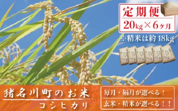 【定期便20kg×6回】猪名川町のお米（コシヒカリ）※精米※毎月配送