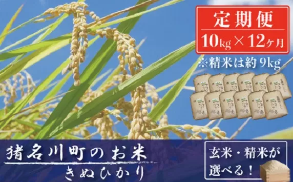【定期便10kg×12回】猪名川町のお米（キヌヒカリ）※精米※毎月配送