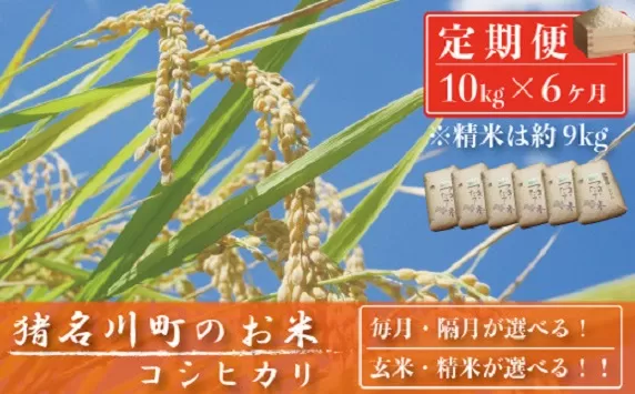 【定期便10?×6回】猪名川町のお米（コシヒカリ） ※玄米※毎月配送