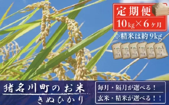 【定期便10kg×6回】猪名川町のお米（キヌヒカリ） ※玄米※隔月配送