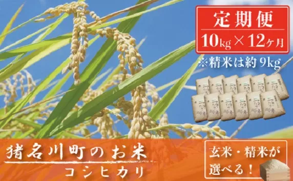 【定期便10kg×12回】猪名川町のお米（コシヒカリ） ※玄米※毎月配送／こめ コメ こしひかり 