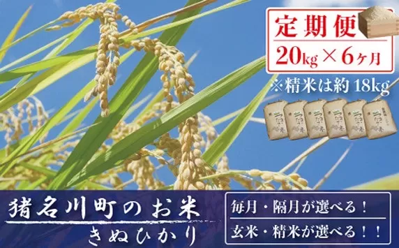 【定期便20kg×6回】猪名川町産のお米（キヌヒカリ）　玄米　毎月発送／ こめ コメ キヌヒカリ