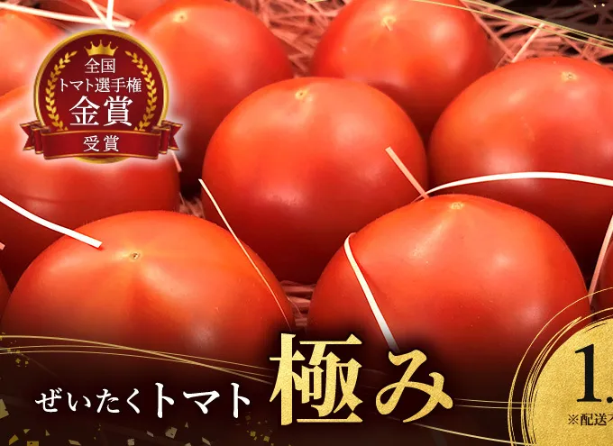 ぜいたくトマト 極み 1.2kg セット 詰め合わせ 第一回全国トマト選手権ミディアム部門金賞 高糖度トマト 甘い 高糖度 とまと 野菜 季節の野菜 旬の野菜 兵庫 兵庫県 稲美町