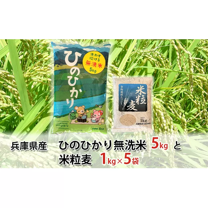 兵庫県産 ひのひかり 無洗米 5kgと 米粒麦 1kg×5袋