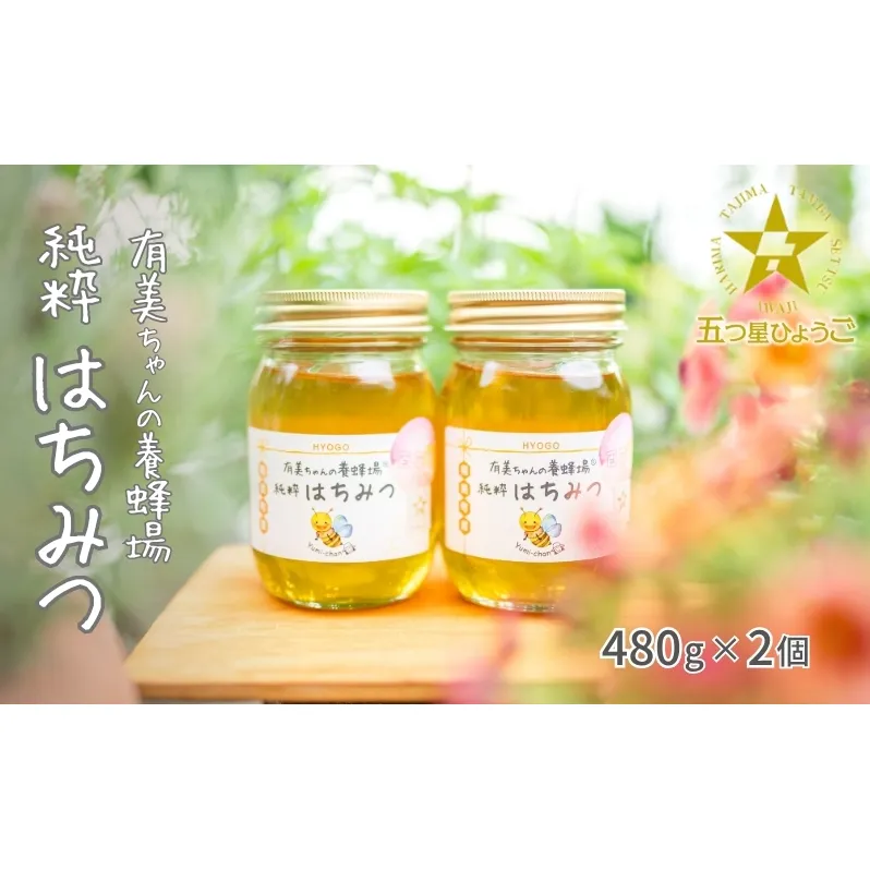 はちみつ 五つ星ひょうご認定商品 有美ちゃんの養蜂場の純粋はちみつ 480g 2個 セット ハチミツ 蜂蜜 非加熱 生はちみつ 国産 セット ハニー 加工品