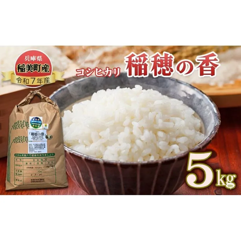 【令和7年産 新米】米 コシヒカリ 稲穂の香 5kg 精米 白米 お米 こめ コメ 最高級米 ご飯 ごはん こしひかり 兵庫県産 兵庫 兵庫県 稲美町 