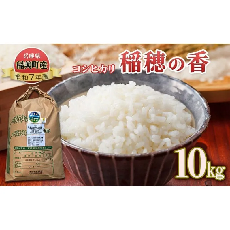 【令和7年産 新米】米 コシヒカリ 稲穂の香 10kg 精米 白米 お米 こめ コメ 最高級米 ご飯 ごはん こしひかり 兵庫県産 兵庫 兵庫県 稲美町