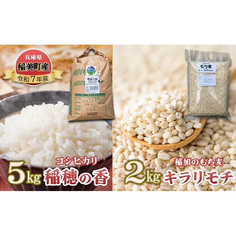 米セット コシヒカリ 稲穂の香 5kg 稲加のもち麦 キラリモチ 2kg セット 詰め合わせ 米 精米 白米 お米 こめ コメ 最高級米 ご飯 ごはん もち麦 国産 大麦 食物繊維 低糖質 高タンパク 健康 健康食品 ダイエット 兵庫県産 兵庫 兵庫県 稲美町