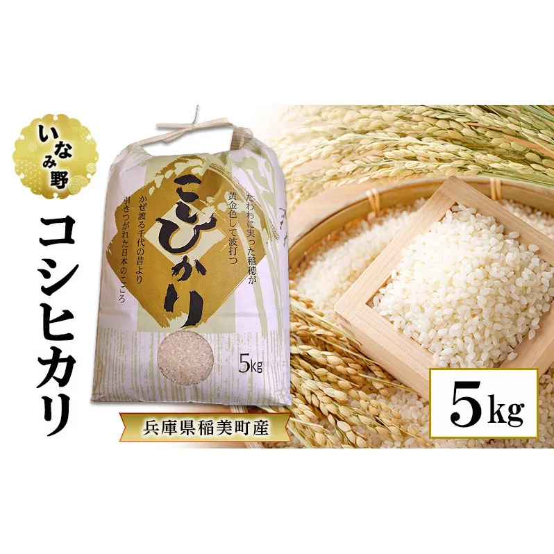 米 いなみ野 コシヒカリ 5kg お米 精米 白米 単一原料米 銘柄米 ブランド米 5キロ 兵庫県産 兵庫 兵庫県 稲美町