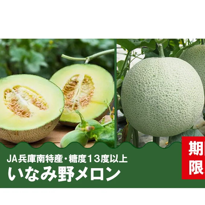 メロン ひょうご推奨ブランド いなみ野メロン 2玉 5Lサイズ フルーツ めろん 果物 フルーツ 果物類 