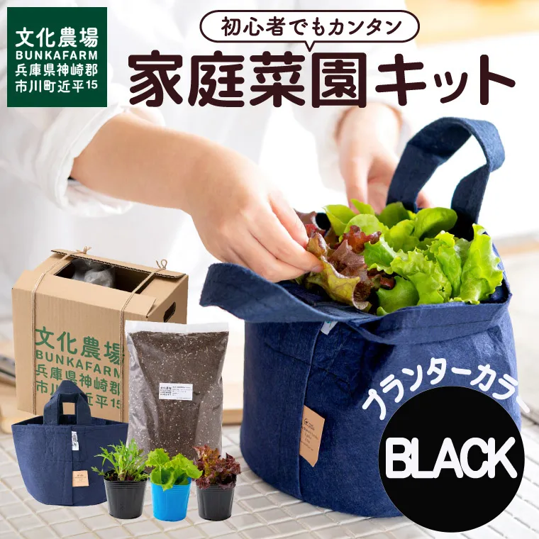 011BK01N.はじめての家庭菜園キット「サラダガーデン」(プランター色:ブラック)
