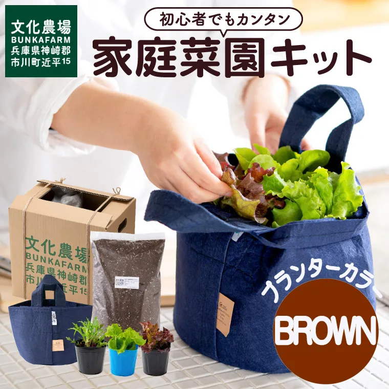 011BK02N.はじめての家庭菜園キット「サラダガーデン」(プランター色:ブラウン)