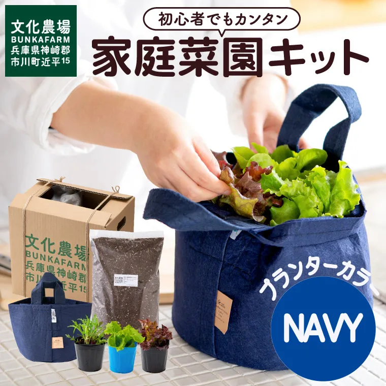 011BK03N.はじめての家庭菜園キット「サラダガーデン」(プランター色:ネイビー)