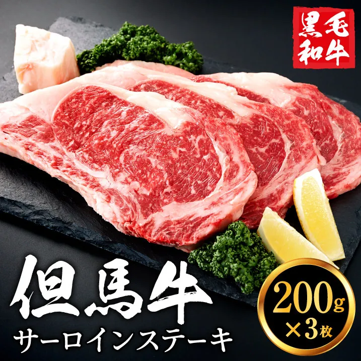 但馬牛経産牛「サーロインステーキ」200ｇ×3枚 020AA02N.／黒毛和牛 ステーキ肉 いちかわ精肉店 経産牛 牛肉 国産 bbq バーベキュー 焼肉 ステーキ サーロイン 赤身 肉 冷凍 焼き肉用 