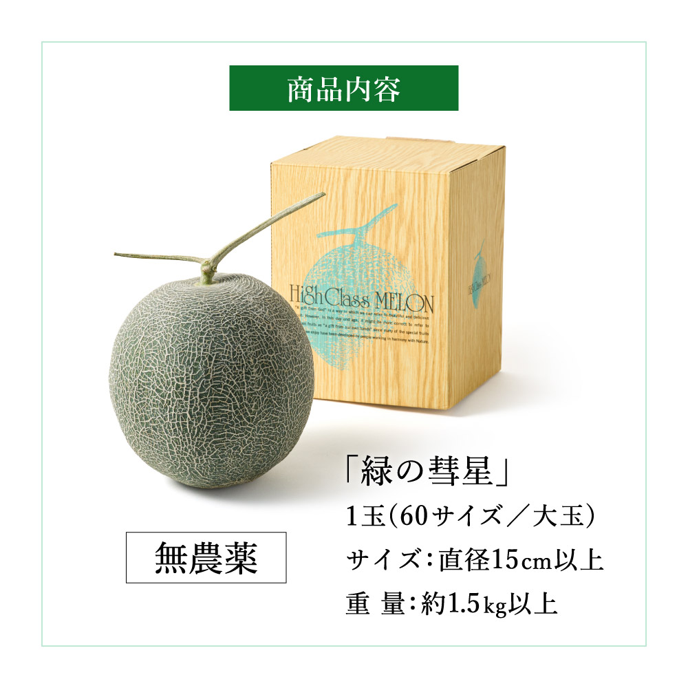 010HS01N. 感動メロン「緑の彗星」1玉／ 果物 フルーツ メロン