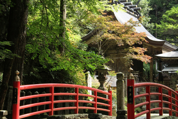 岩戸神社