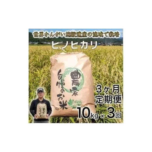 【定期便10kg×3か月】令和7年度産 ヒノヒカリ 精米 八千種米 お米 10kg 白米 新米 米 ごはん 兵庫 兵庫県産 世界かんがい施設遺産登録『西光寺野疏水路』 お米