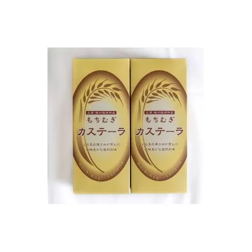 もち麦カステラ2本セット かすてら もちむぎ 贈り物 ギフト