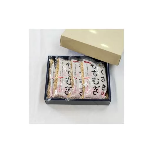 もちむぎ精麦2.4kg 600g×4袋 小分け もち麦 雑穀 五つ星ひょうご選定商品