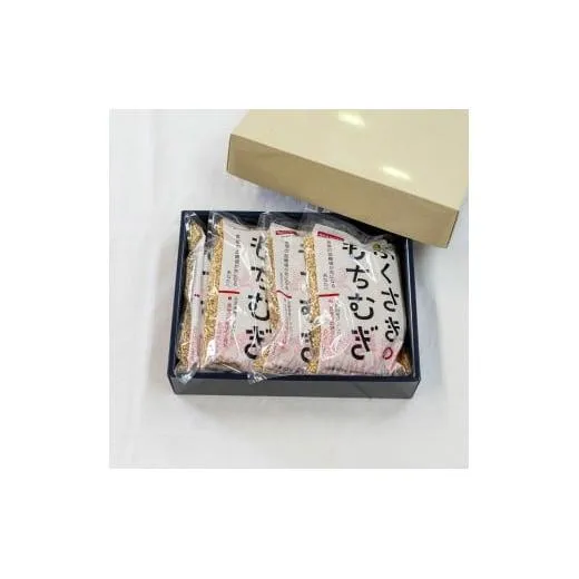もちむぎ精麦2.4kg 600g×4袋 小分け もち麦 雑穀 五つ星ひょうご選定商品