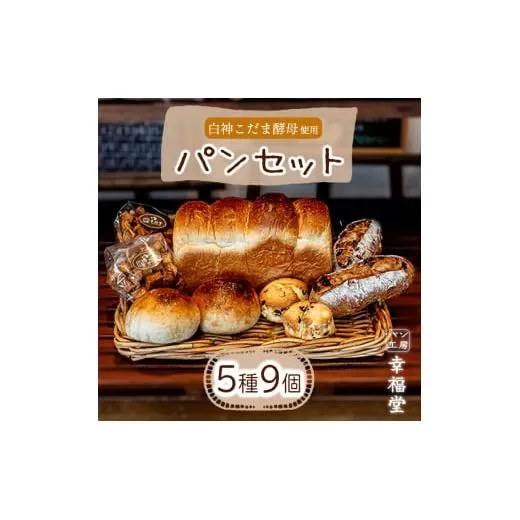 天然酵母のパンセット 5種9個 国産小麦粉 米粉 天然酵母 食パン 菓子パン