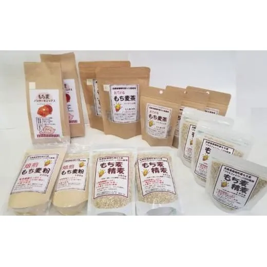 もち麦 てんこもりセット(大) もちむぎ もち麦茶 パンケーキミックス もち麦粉