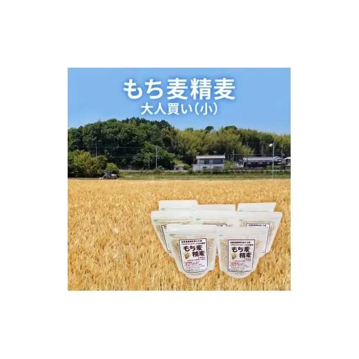 もち麦 精麦 大人買い(小) もちむぎ 雑穀