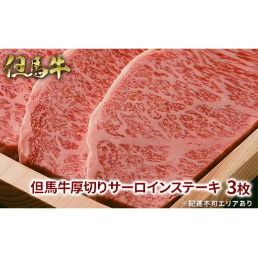 但馬牛 厚切り サーロイン ステーキ 300g×3枚 計900g 牛肉 国産牛 和牛 BBQ バーベキュー アウトドア お祝い