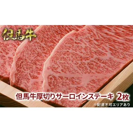但馬牛 厚切り サーロイン ステーキ 300g×2枚 計600g 牛肉 国産牛 和牛 BBQ バーベキュー アウトドア お祝い