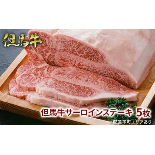 但馬牛 サーロイン ステーキ 200g×5枚 計1kg 牛肉 国産牛 和牛 BBQ バーベキュー アウトドア お祝い