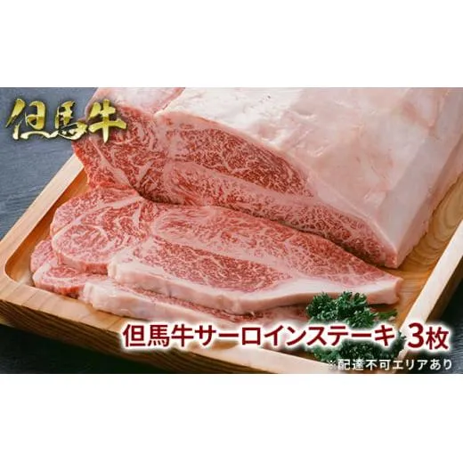 但馬牛 サーロイン ステーキ 200g×3枚 計600g 牛肉 国産牛 和牛 BBQ バーベキュー アウトドア お祝い