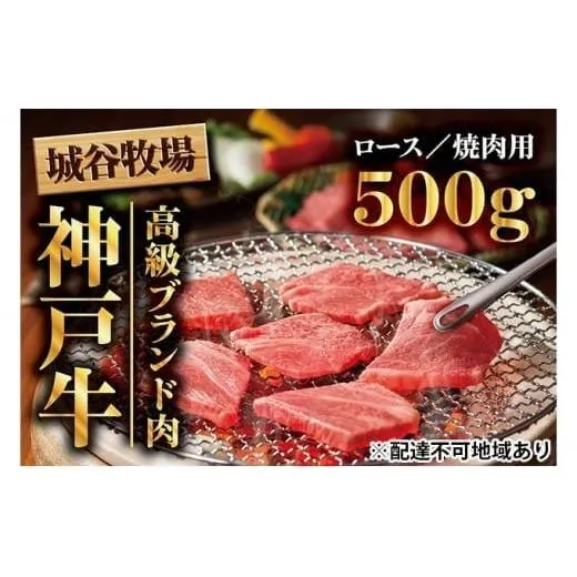城谷牧場の神戸牛 ロース 焼肉 500g 国産牛 和牛 神戸ビーフ バーベキュー BBQ 冷凍
