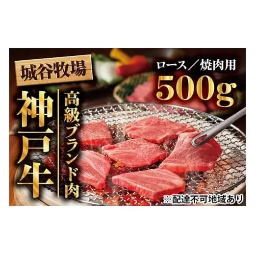 城谷牧場の神戸牛 ロース 焼肉 500g 国産牛 和牛 神戸ビーフ バーベキュー BBQ 冷凍