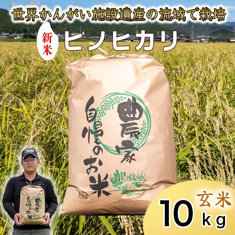 【 玄米　新米 】令和7年度産　ヒノヒカリ 八千種米　お米 10kg　ごはん　兵庫県産　世界かんがい施設遺産登録『西光寺野疏水路』