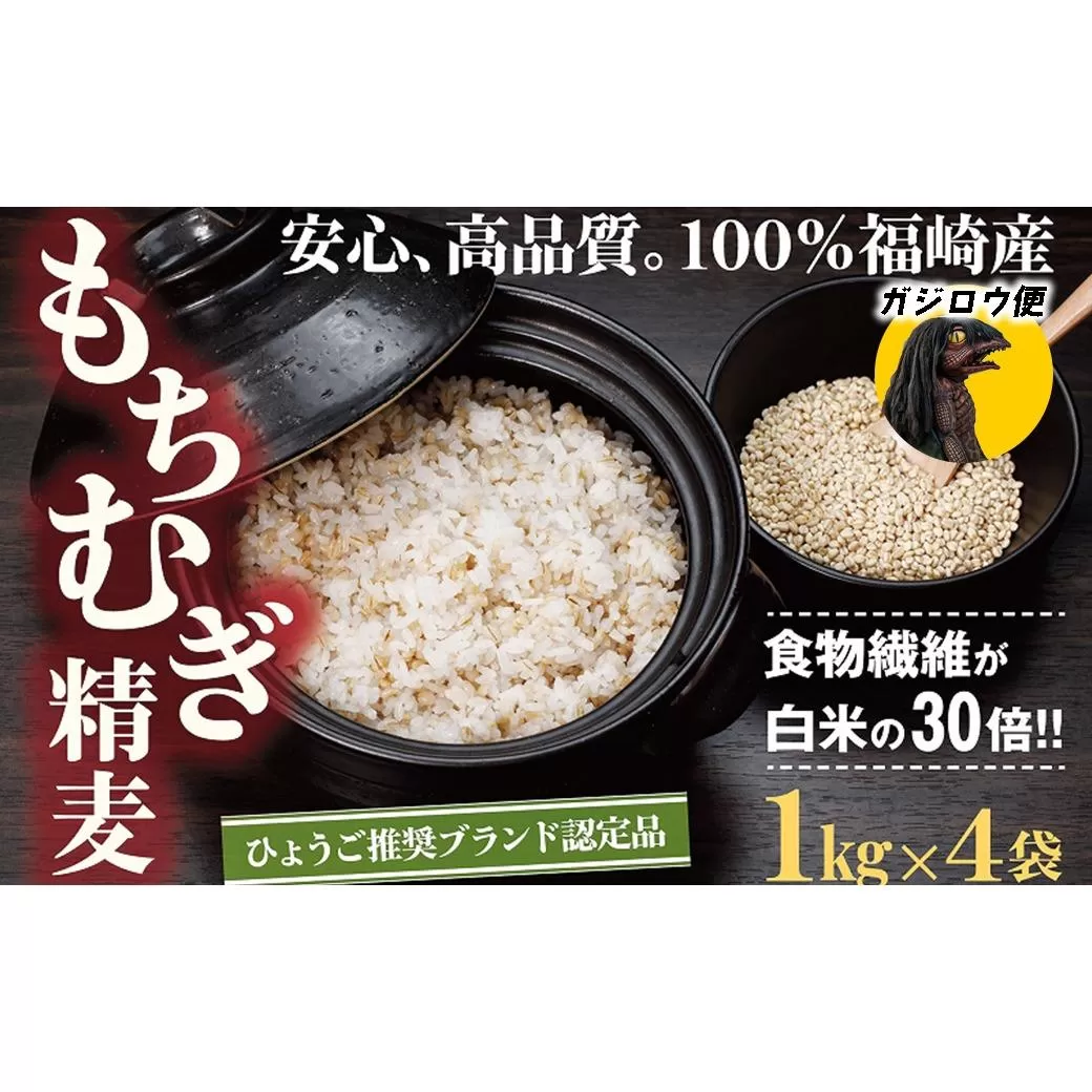 ガジロウ便 【関東・中部・近畿・中国・四国】 もちむぎ精麦 4kg もち麦