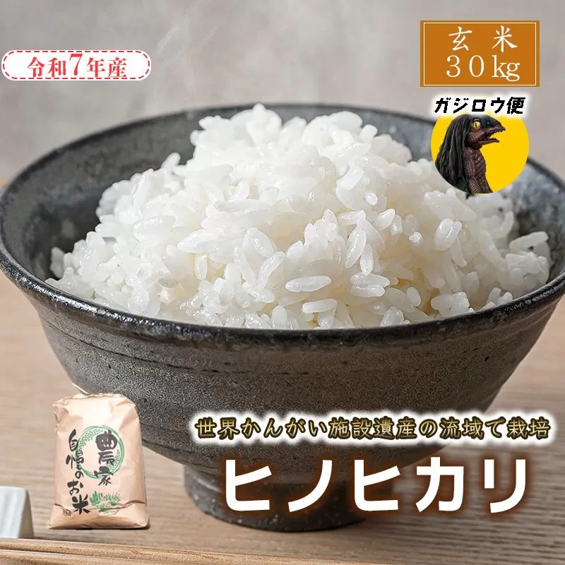 ガジロウ便 【関東・中部・近畿・中国・四国】 玄米 30kg 令和7年産 ヒノヒカリ 八千種米 お米 30kg ごはん 兵庫県産 世界かんがい施設遺産登録『西光寺野疏水路』