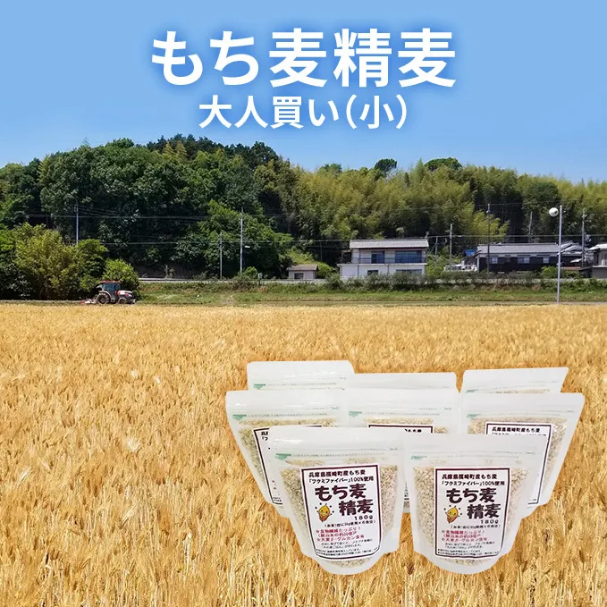 もち麦 精麦 大人買い(小) もちむぎ 雑穀
