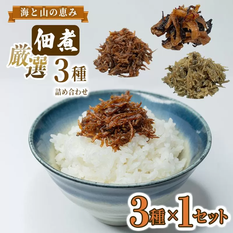 厳選佃煮3種セット 海と山の恵み (計3袋) 【国内産シラスのくぎ煮 65g ほたて貝ひもとキクラゲ 80g 生炊きちりめん山椒 90g】 しらす ほたて 貝ひも キクラゲ ちりめん山椒 ごはんのお供 お酒のおつまみ 小分け