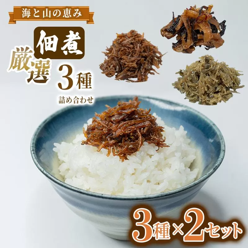 厳選佃煮3種セット 海と山の恵み (計6袋)【国内産シラスのくぎ煮 65g ほたて貝ひもとキクラゲ 80g 生炊きちりめん山椒 90g】各2袋 しらす ほたて 貝ひも キクラゲ ちりめん山椒 ごはんのお供 お酒のおつまみ 小分け